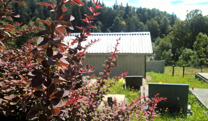 Zobraziť fotografiu